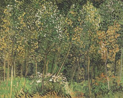 Vincent Van Gogh The Grove (nn04)